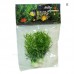 Plante artificiale 4" - 10 cm 2/set